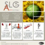ASLG Consulting